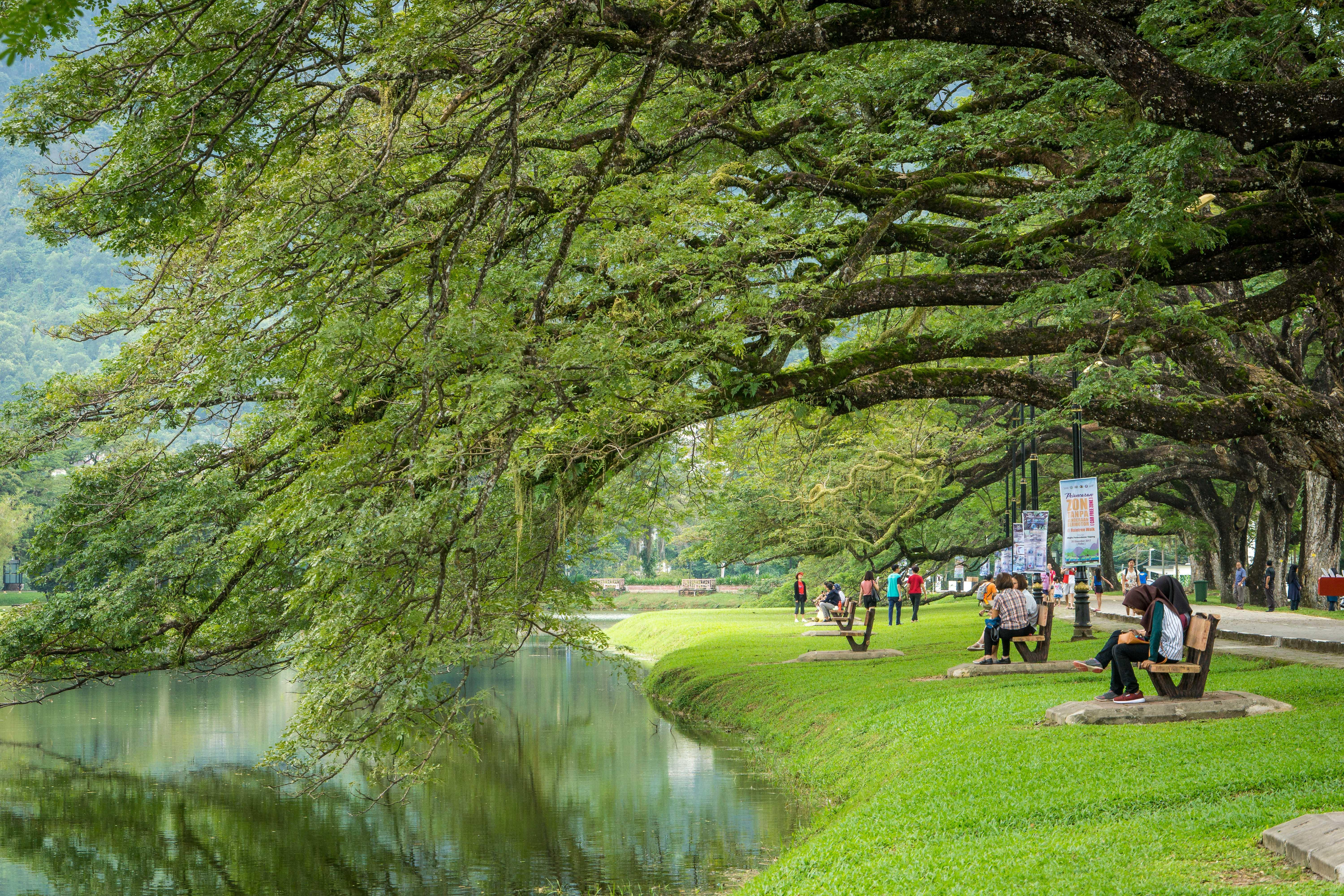 Choosing ‍Taiping: A Guide to the Best Retirement Properties in this Blissful Town